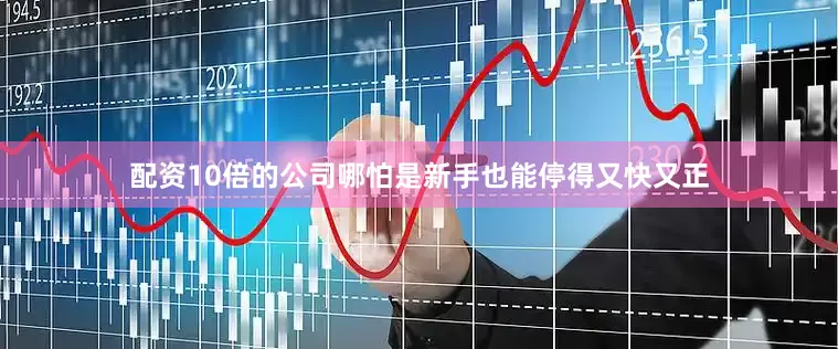 配资10倍的公司哪怕是新手也能停得又快又正